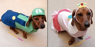 Illustration for article titled Finally, Dogs Can Cosplay As Mario, Too